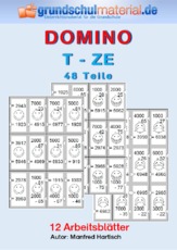 Domino_T-ZE_48_sw.pdf